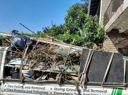 Best Residential Junk Removal  in Stockton, IL